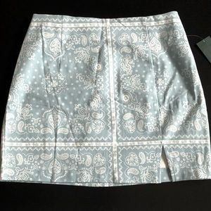 Wild Fable Mini Skirt